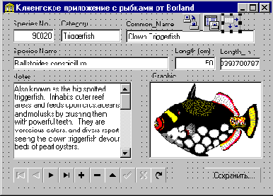 Borland MIDAS